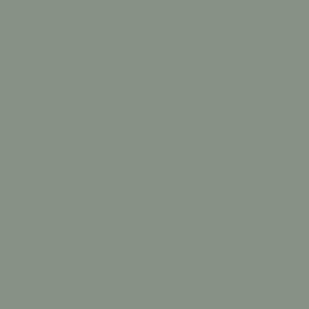Mastic Cedar Discovery Premium Color Option - Quiet Willow
