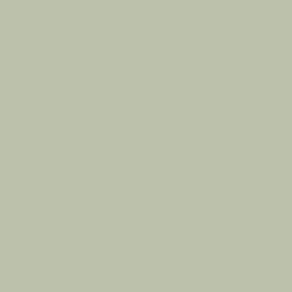 Mastic Cedar Discovery Standard Color Option - Tuscan Olive